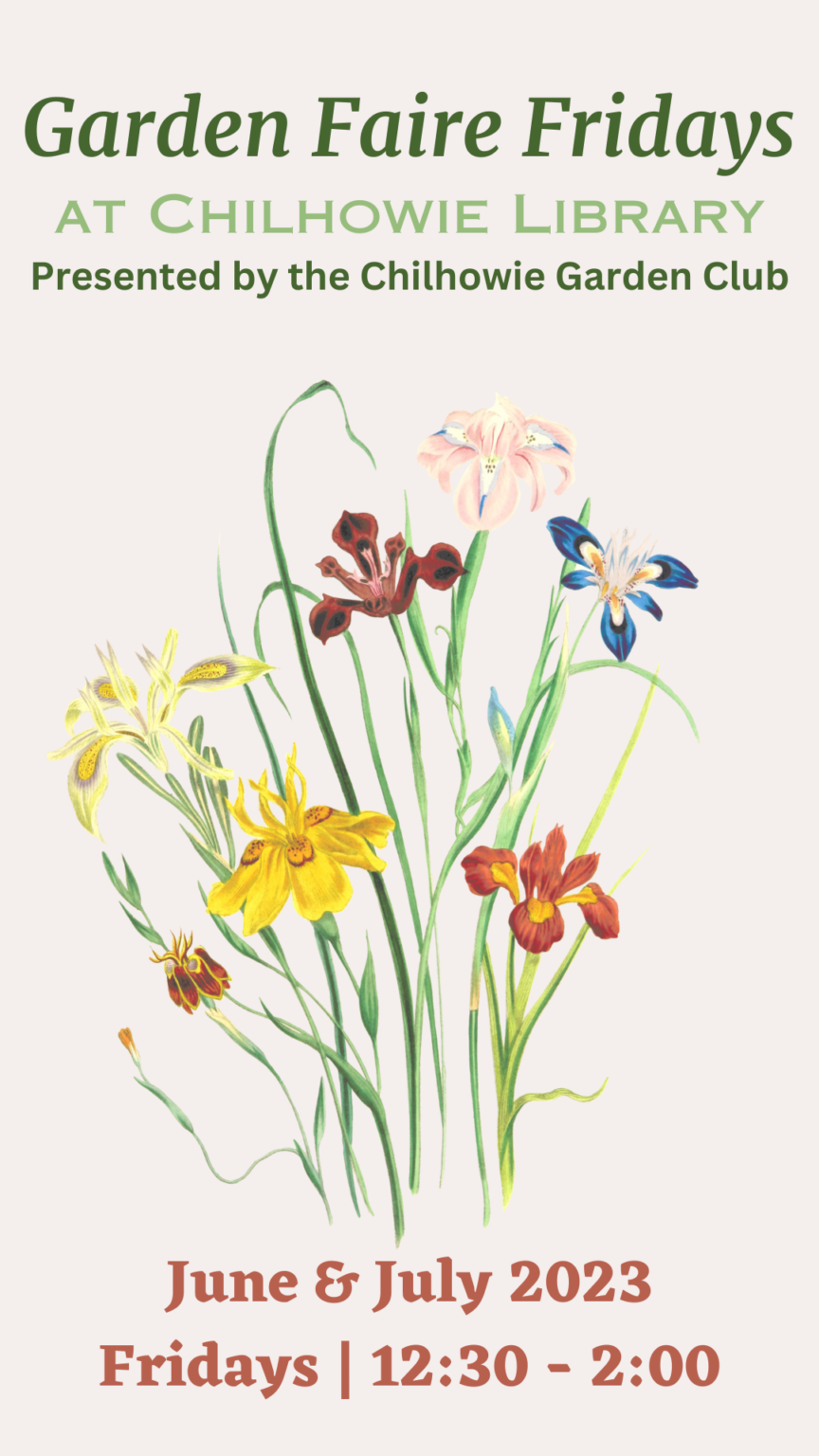 Garden Faire Friday Classes at Chilhowie Library Smyth County Public