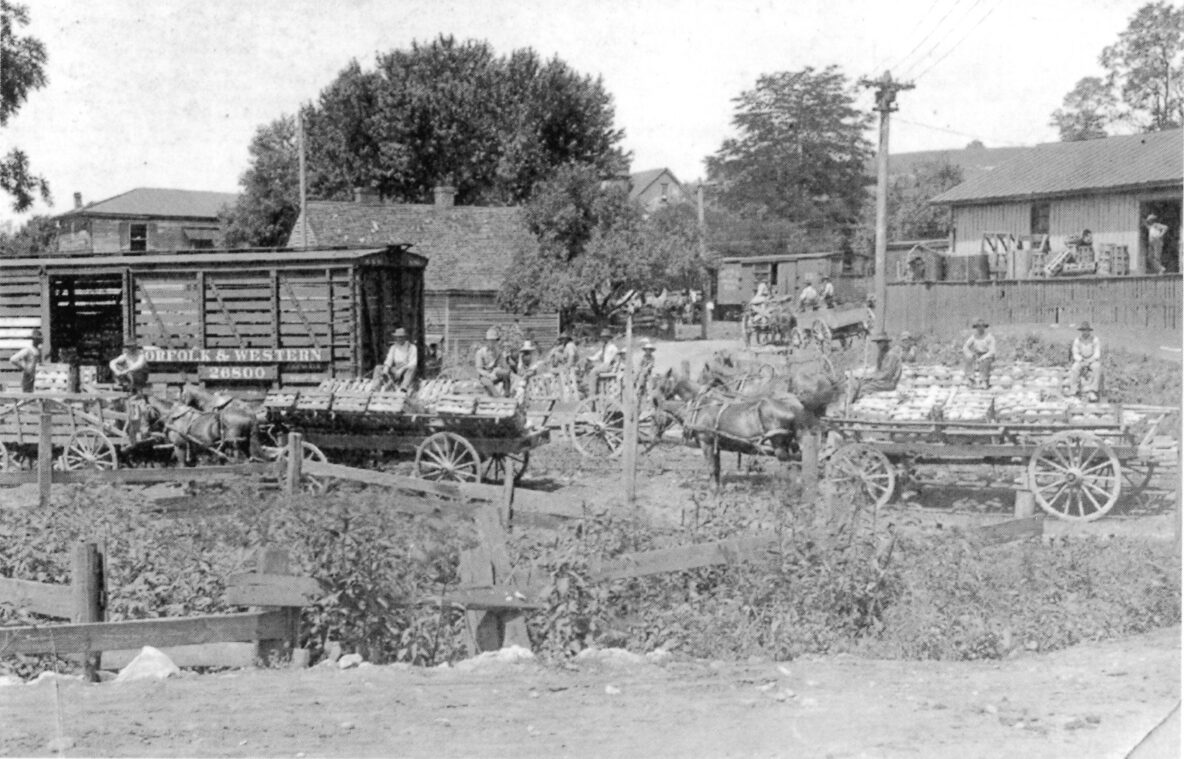 Loading cabbage onto the train - Smyth County Public Libraries