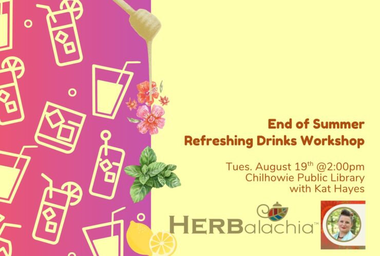 Refreshing Summer Drinks Workshop at Chilhowie Library