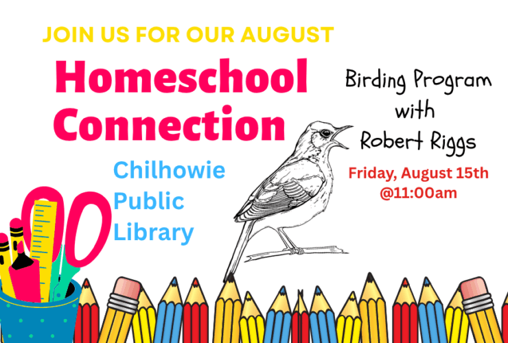 Homeschool Connection Program at Chilhowie Library
