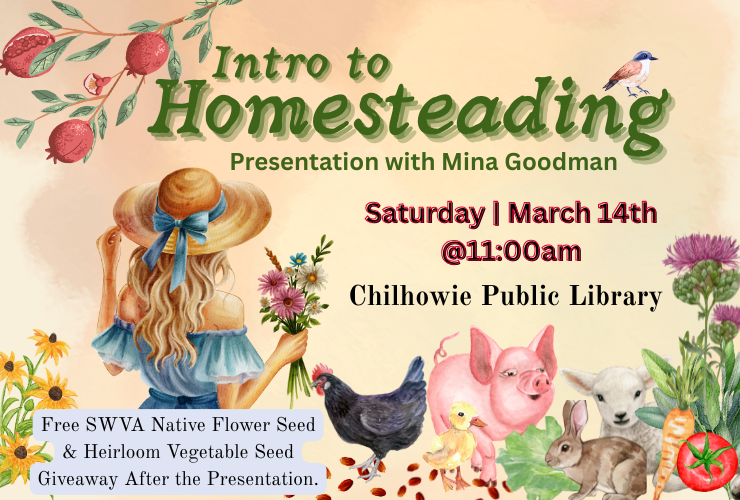 Intro to Homesteading & Seed Giveaway at Chilhowie Library