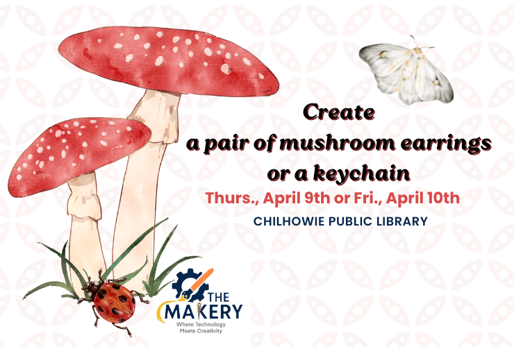 Learn How to Use the xTool Laser