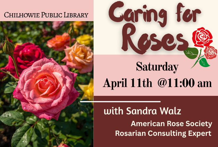 Caring for Roses Talk at Chilhowie Library