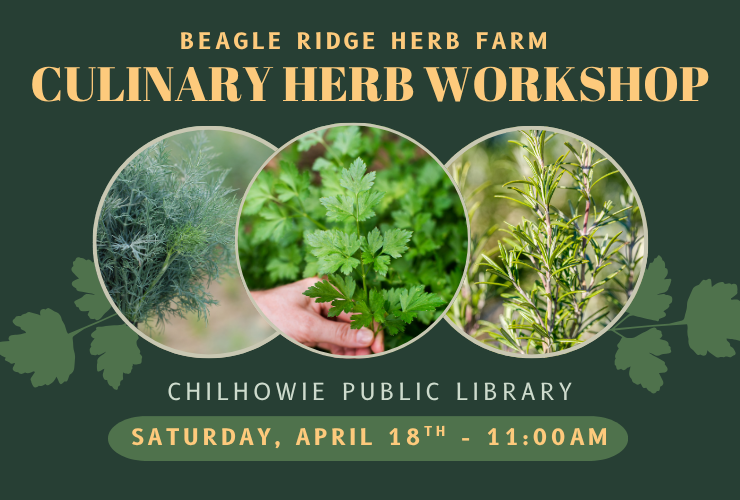 Culinary Herbs Workshop at Chilhowie Library